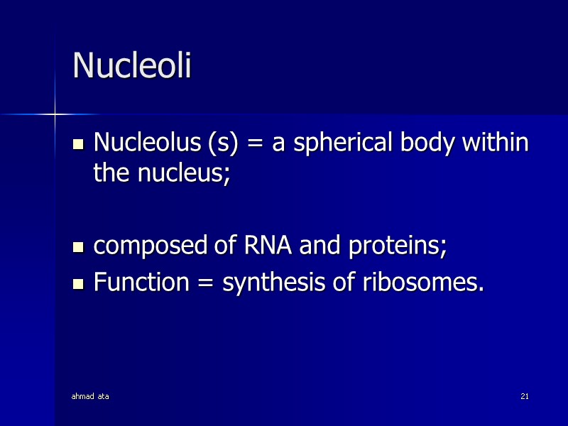 ahmad ata 21 Nucleoli Nucleolus (s) = a spherical body within the nucleus; 